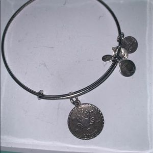 alex and ani silver bangle